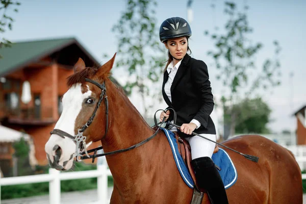 Rider jazda konia poza eleganckiej kobiety — Zdjęcie stockowe