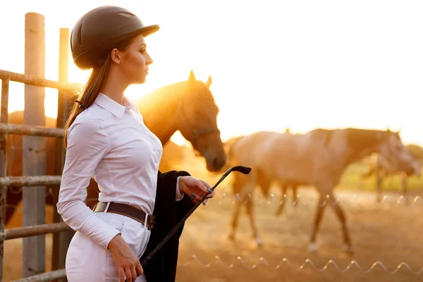 Rider vrouw met zweep bij de zonsondergang — Stockfoto