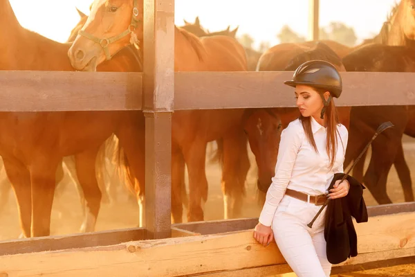 Reiterin mit Helm und Peitsche in der Nähe von Pferden — Stockfoto