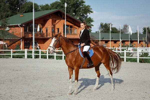 Rider elegant woman riding her horse outside — Stock Photo, Image