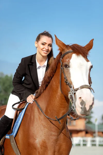 Jinete elegante mujer cabalgando su caballo fuera — Foto de Stock