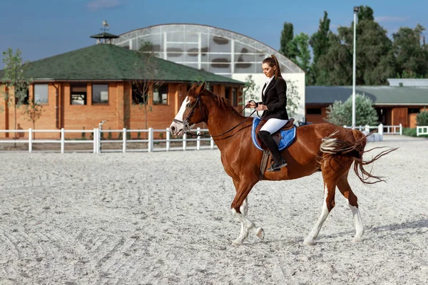 Cavalier femme élégante chevauchant son cheval à l'extérieur — Photo