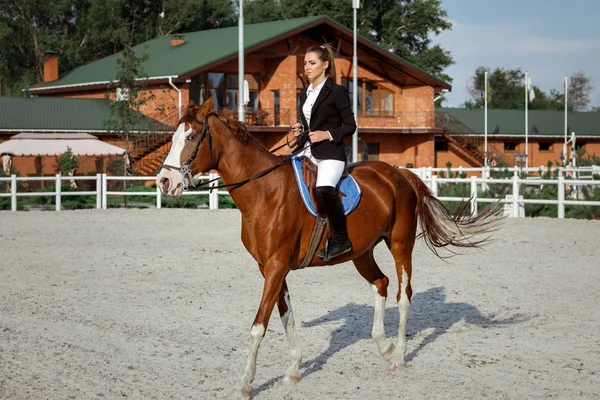 Jinete elegante mujer cabalgando su caballo fuera — Foto de Stock