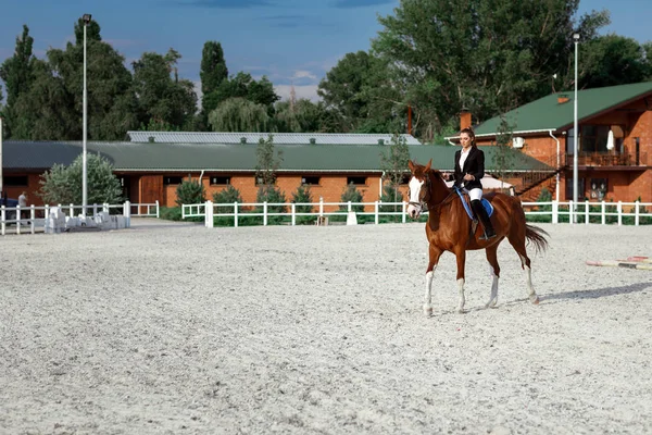 Cavalier femme élégante chevauchant son cheval à l'extérieur — Photo