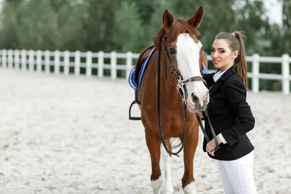 Jinete elegante mujer cabalgando su caballo fuera — Foto de Stock