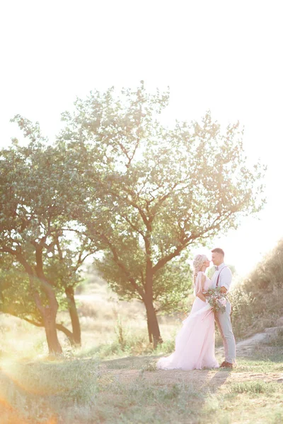 Pareja de boda en la naturaleza en el día de verano . —  Fotos de Stock