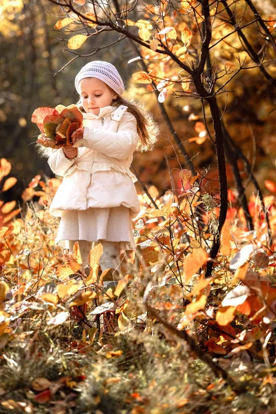 Baby girl pick up a bouquet of yellow leaves on autumn day — стоковое фото