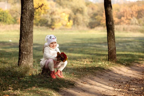 Маленька Мила Дівчинка Букетом Жовтого Червоного Листя Лісі Сонячний Осінній — стокове фото