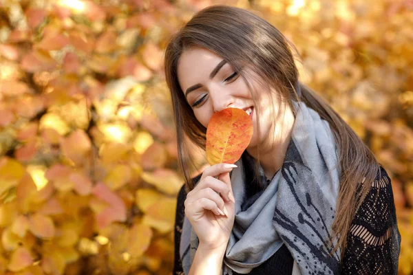 Güzel bir kadınla Güz gri scarft — Stok fotoğraf