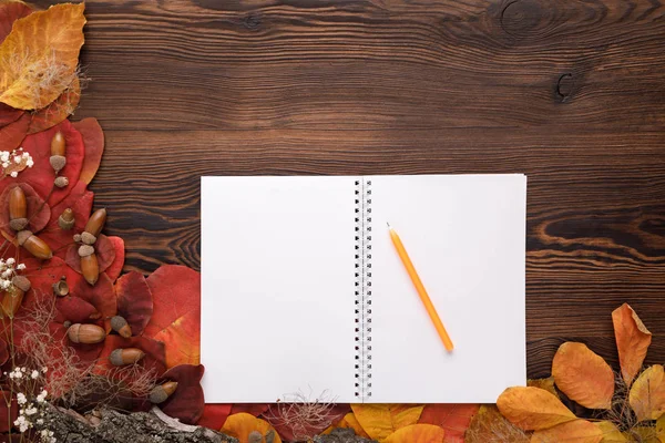 Folhas de outono, biscoitos e caderno de papel sobre fundo de madeira — Fotografia de Stock