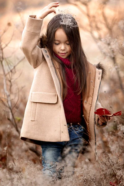Маленька дівчинка грає з осіннім опалим листям — стокове фото