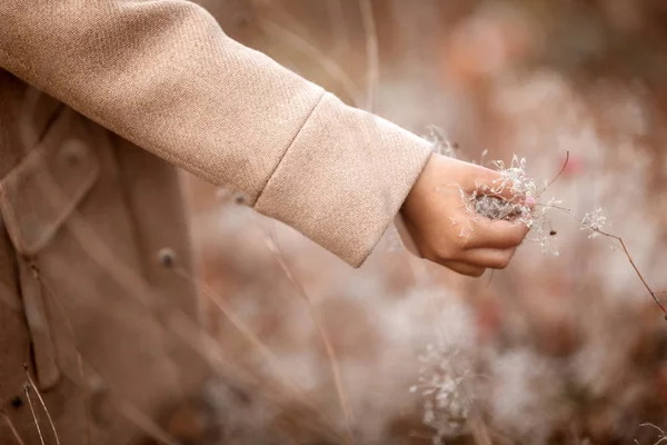 Kinderhand berührt die herbstlichen Zweige und Blätter — Stockfoto