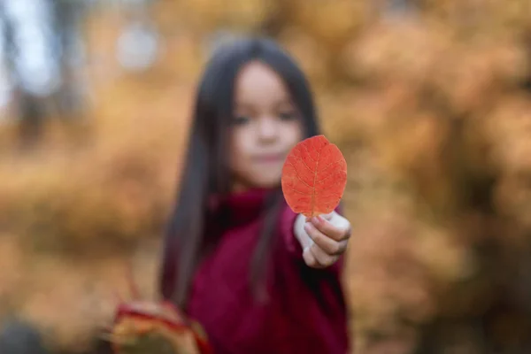 Küçük kız kırmızı sonbahar sonbahar parkta bırakır — Stok fotoğraf