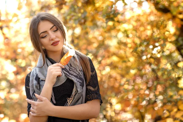 Güzel bir kadınla Güz gri scarft — Stok fotoğraf