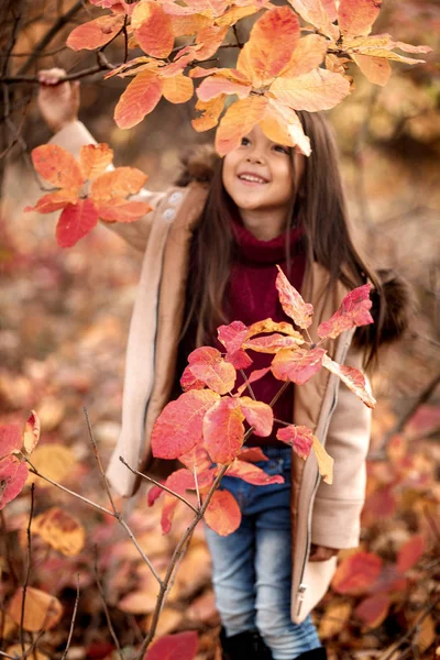 Niña jugando con hojas caídas de otoño —  Fotos de Stock