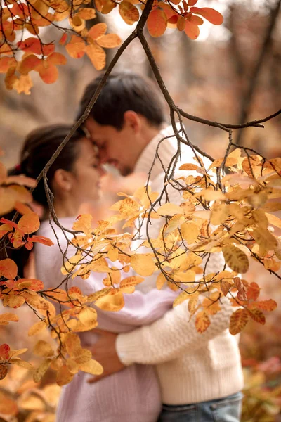 在美丽的秋日, 情侣们在爱中拥抱 — 图库照片