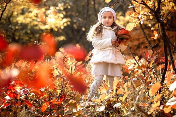 Baby girl pick up a bouquet of yellow leaves on autumn day
