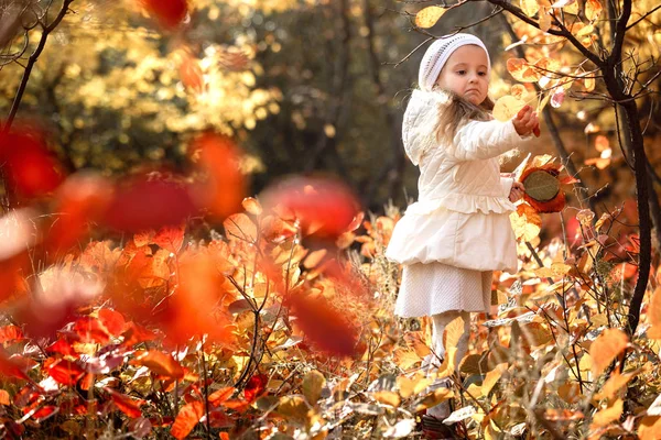 Babymädchen nimmt am Herbsttag einen Strauß gelber Blätter auf — Stockfoto