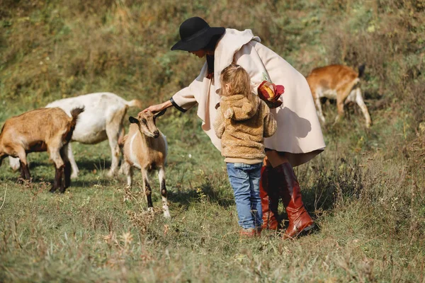 Madre camina con su hijita cerca de una manada de cabras en otoño —  Fotos de Stock