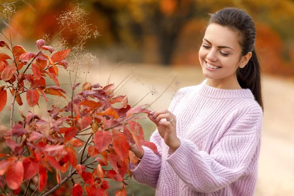 Όμορφη γυναίκα στο πλεκτό πουλόβερ κοντά κόκκινος θάμνος φθινόπωρο — Φωτογραφία Αρχείου