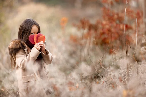 Little girl playing with autumn fallen leaves — Stock Photo, Image