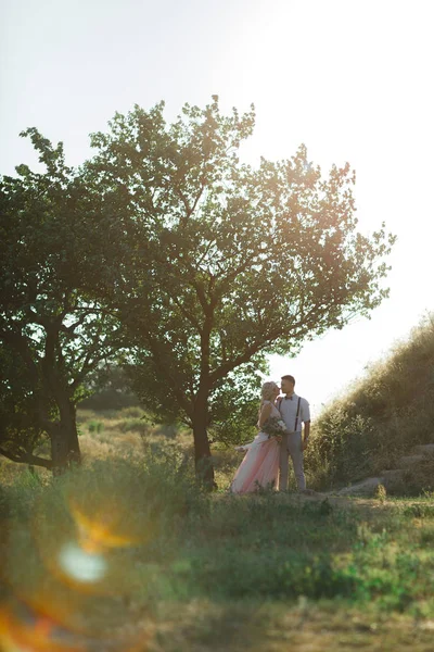 Casal de casamento na natureza no dia de verão . — Fotografia de Stock