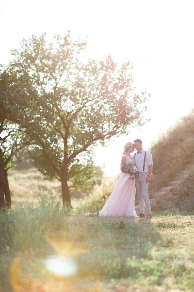 Casal de casamento na natureza no dia de verão . — Fotografia de Stock