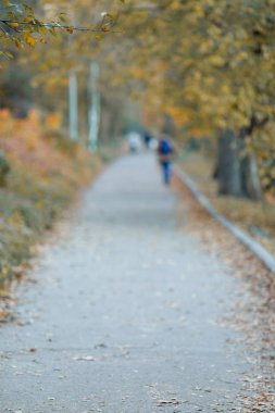 Sonbahar gününde şehir park arka plan bulanık