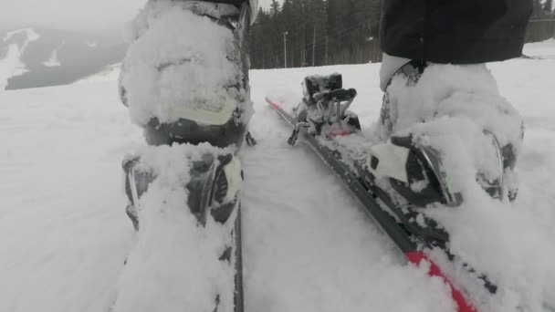 Skiër zet op ski's, close-up — Stockvideo