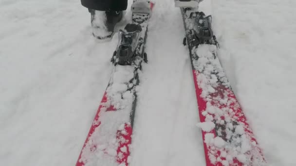 Skier puts on skis, close-up — Stock Video