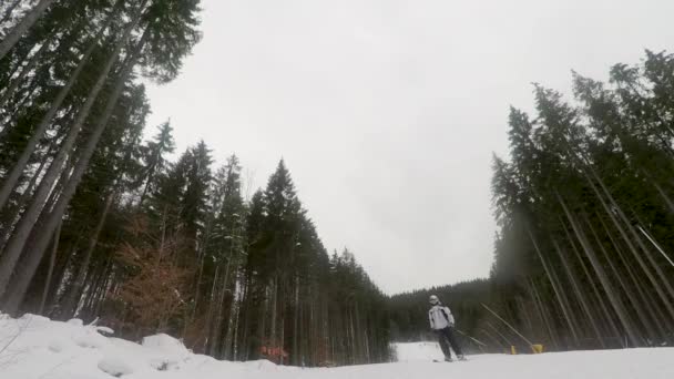 冬の日のゲレンデでスキー スキーヤー — ストック動画