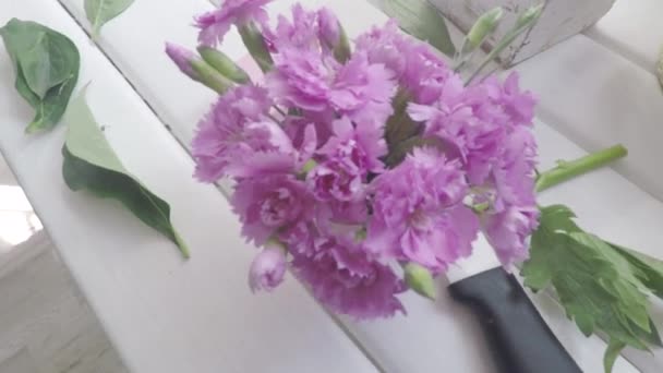 Flores de clavel rosa en un jarrón en la mesa de floristas . — Vídeo de stock