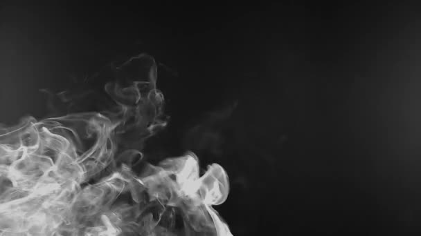 White steam rises light on black background. — Stock Video