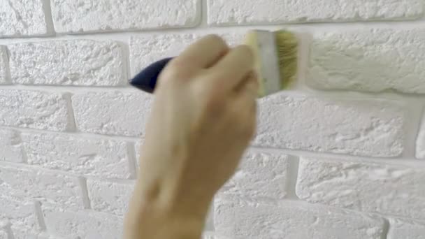 Trabalhador manualmente vernizes tijolo decorativo na parede . — Vídeo de Stock