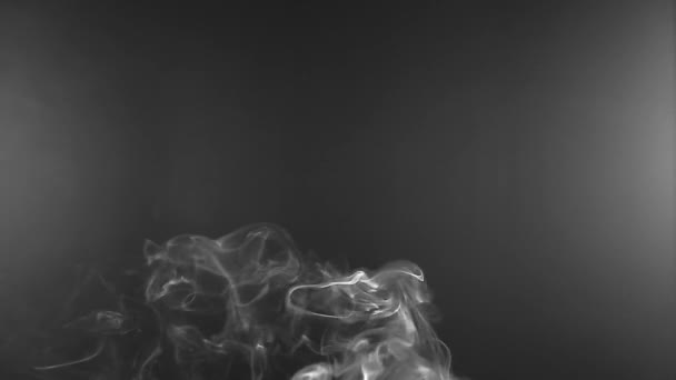 White steam rises light on black background. — Stock Video