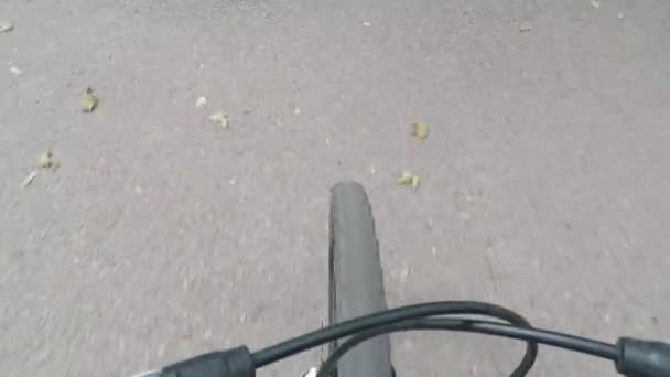 Asfalto carretera y bicicleta giratoria rueda delantera, vista de arriba hacia abajo . — Vídeos de Stock