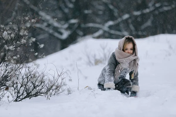Мила маленька дівчинка в лісі взимку. снігweather forecast — стокове фото