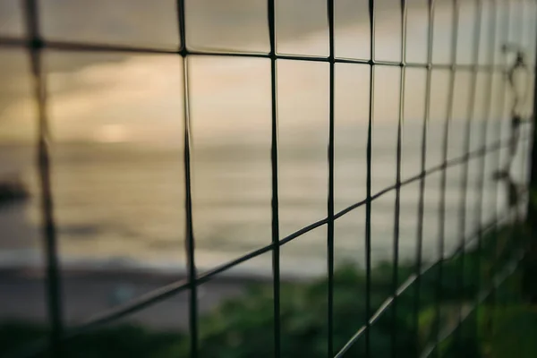 Valla de malla de metal. mar al atardecer detrás de la red . —  Fotos de Stock