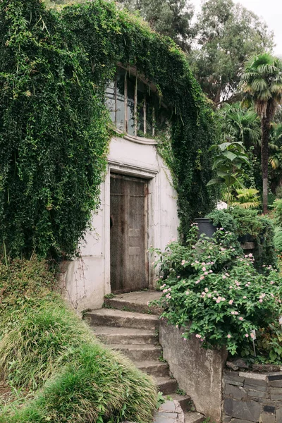 Botanik bahçesinde güzel eski taş ev — Stok fotoğraf