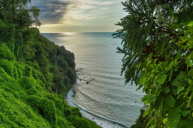 yeşil pelerin. Karadeniz 'in güzel kıyısı