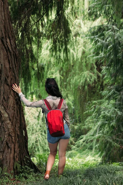Sırt çantalı bir kadın ormanda yürüyor. — Stok fotoğraf