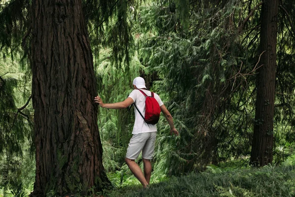 Woman with backpack walking in the forest — Stock Photo, Image