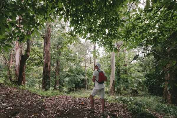 Hombre con mochila caminando en el bosque — Foto de Stock