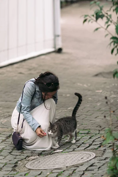 Attractive woman in dress plays with cat — Stock Photo, Image