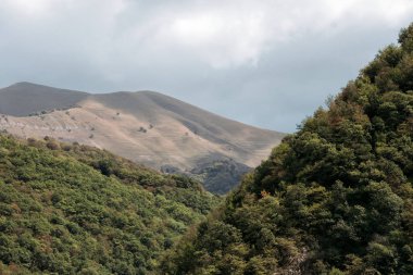 Kafkas dağlarının güzel manzarası