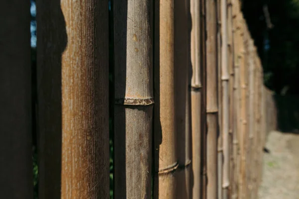 Eski kahverengi ton bambu tahta çit — Stok fotoğraf