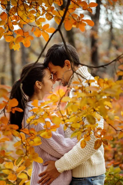 Couple in love hugging in beautiful autumn day — Stock Photo, Image