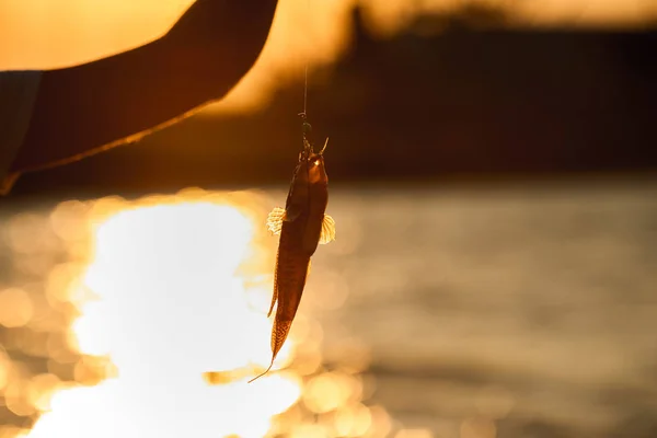 Jovem pescando no mar — Fotografia de Stock