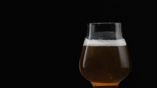 Cerveja está derramando em vidro — Vídeo de Stock