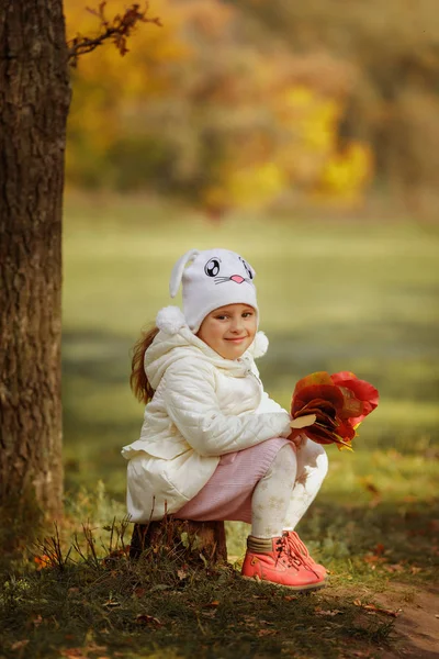 Niña linda con ramo de hojas amarillas y rojas en el bosque — Foto de Stock